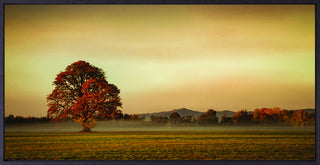 Art Effects Touched By Fog Wall Don Schwartz