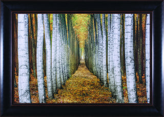 Art Effects Tree Farm Wall Art by Michael Cahill