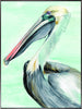Art Effects Turquoise Pelican II Wall Art by Jennifer Paxton Parker