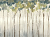 Art Effects Viridian Treeline II Wall Art by Jennifer Goldberger