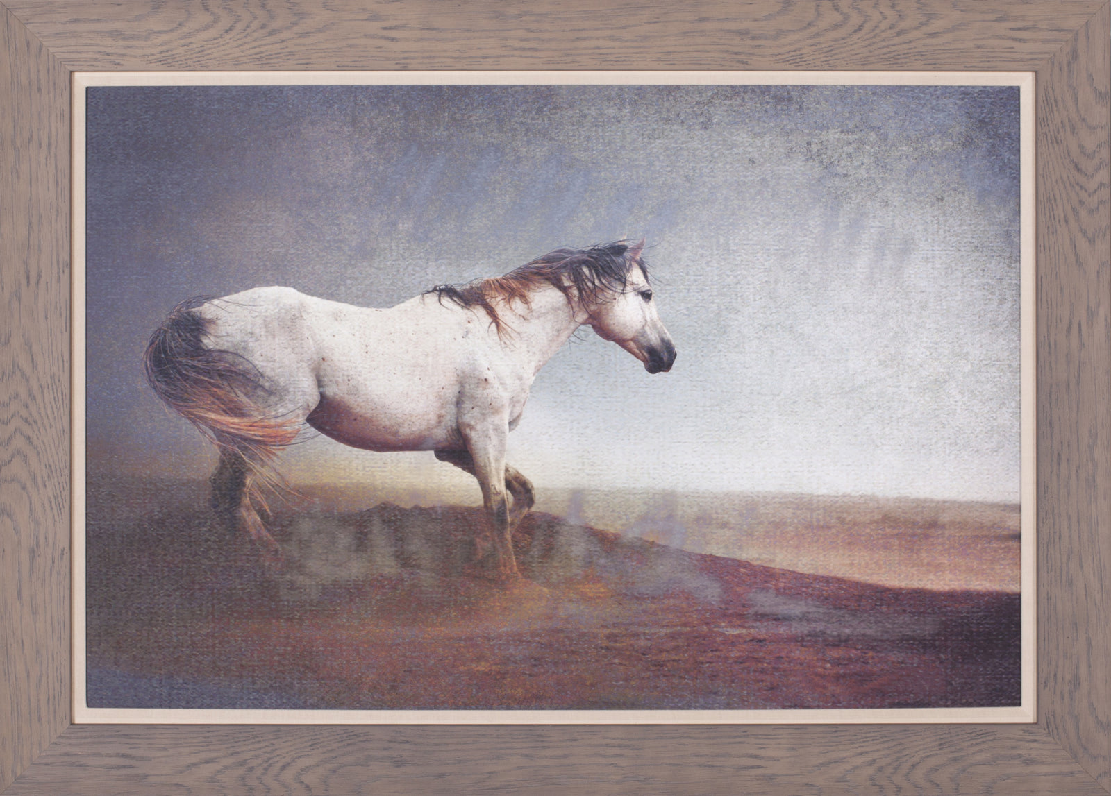 Art Effects White Horse Dust Storm Wall Art by Chris Vest