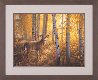 Art Effects Whitetail in Aspens Wall Art by Greg Alexander