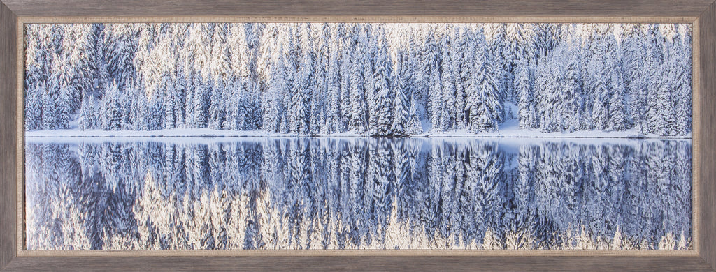 Art Effects Winter Silence Wall Art by Ross Lipson