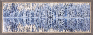 Art Effects Winter Silence Wall Art by Ross Lipson