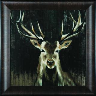 Art Effects Young Buck Wall Art by Liz Jardine