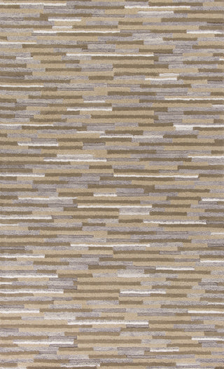 KAS Artisan 2150 Beige Elements Area Rug 