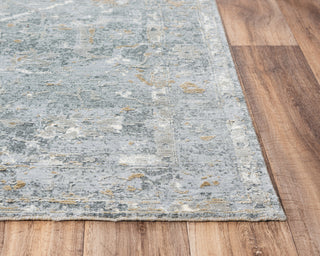 Rizzy Artistry ARY113 Gray Area Rug