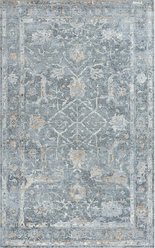 Rizzy Artistry ARY113 Gray Area Rug