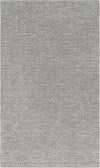 Surya Astara ASA-1000 Sage Charcoal Area Rug Mirror main image