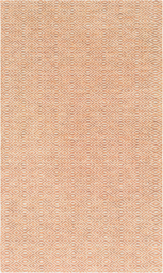 Surya Astara ASA-1001 Burnt Orange Beige Area Rug Mirror main image