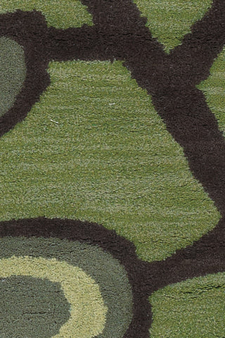 Chandra Aschera ASC-6406 Green/Dark Brown Area Rug Close Up