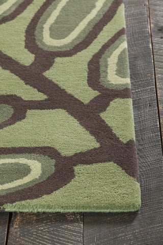 Chandra Aschera ASC-6406 Green/Dark Brown Area Rug Corner Shot