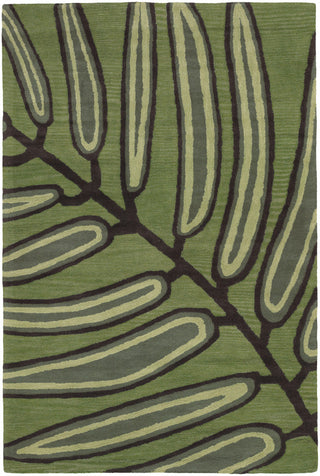 Chandra Aschera ASC-6406 Green/Dark Brown Area Rug main image