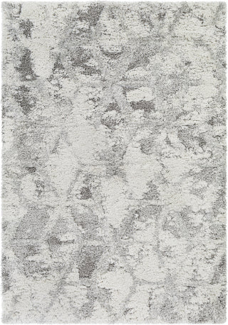 Surya Alta Shag ASG-2302 Area Rug by Artistic Weavers Main Image 5'3"x7'