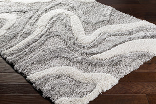 Surya Alta Shag ASG-2303 Area Rug by Artistic Weavers On Wood 