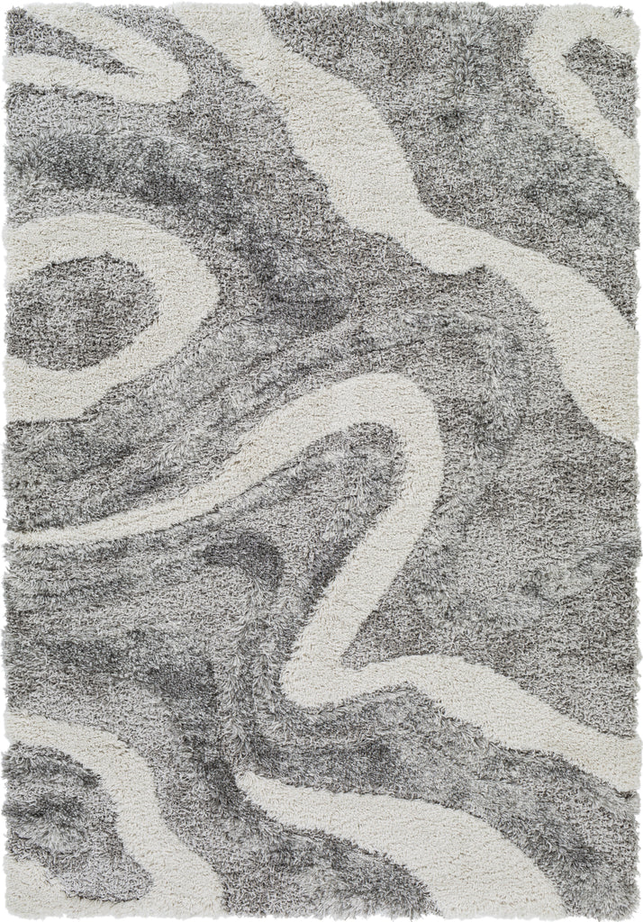 Surya Alta Shag ASG-2303 Area Rug by Artistic Weavers Main Image 5'3"x7'