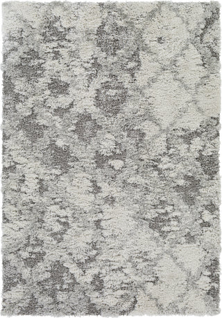 Surya Alta Shag ASG-2305 Area Rug by Artistic Weavers Main Image 