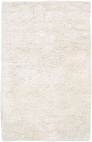 Surya Ashton ASH-1300 Ivory Area Rug 5' x 8'