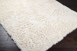 Surya Ashton ASH-1300 Area Rug
