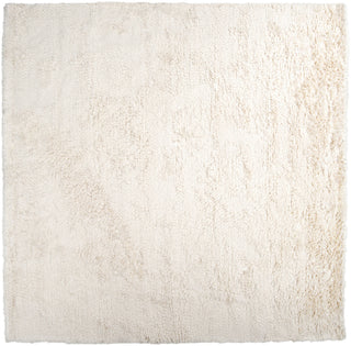 Surya Ashton ASH-1300 Ivory Area Rug 8' Square