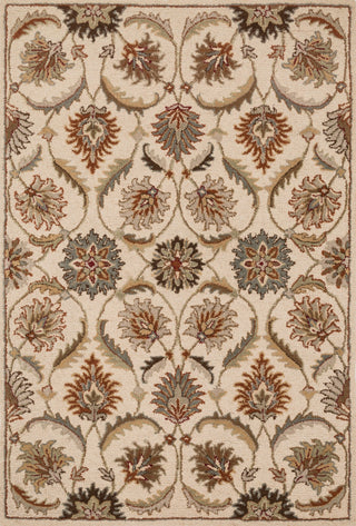 Loloi Ashford HAS01 Ivory / Multi Area Rug main image