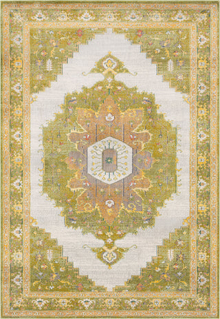 Surya Aura Silk ASK-2321 Area Rug main image