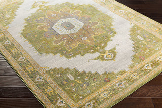 Surya Aura Silk ASK-2321 Area Rug Corner Image