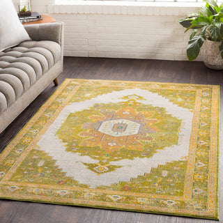 Surya Aura Silk ASK-2321 Area Rug Room Image Feature