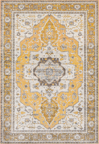 Surya Aura Silk ASK-2322 Area Rug main image