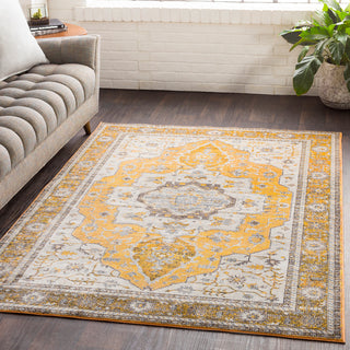 Surya Aura Silk ASK-2322 Area Rug Room Image Feature