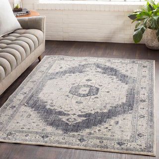 Surya Aura Silk ASK-2327 Area Rug Room Image Feature