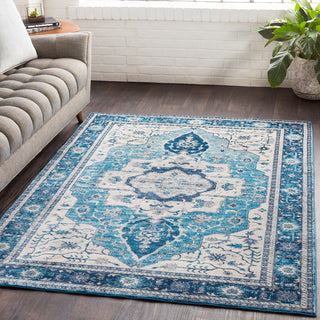 Surya Aura Silk ASK-2329 Area Rug Room Image Feature