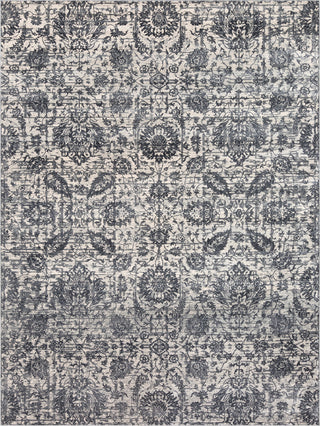 Surya Aura Silk ASK-2331 Area Rug Main Image 8 X 10