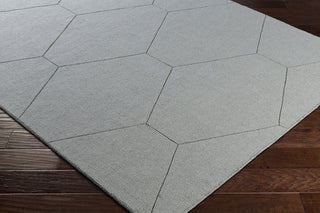 Surya Ashlee ASL-1022 Light Gray Area Rug Corner Image