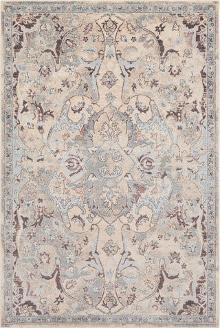 Surya Asia Minor ASM-2303 Denim Light Gray Cream Camel Dark Brown Area Rug main image