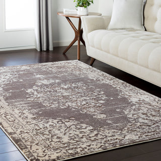 Surya Asia Minor ASM-2305 Area Rug Room Image Feature