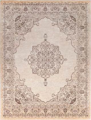 Surya Asia Minor ASM-2308 Area Rug Main Image 8 X 10