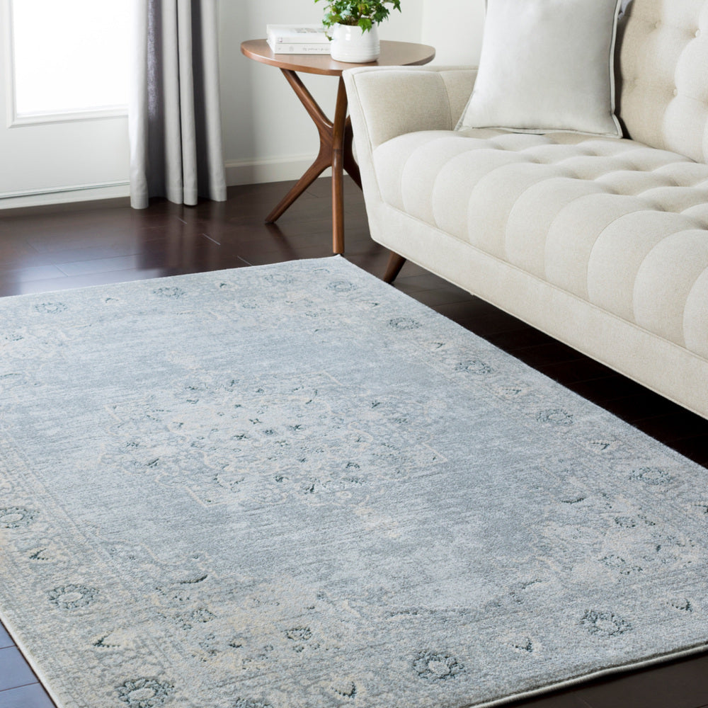 Surya Asia Minor ASM-2309 Area Rug Room Image Feature