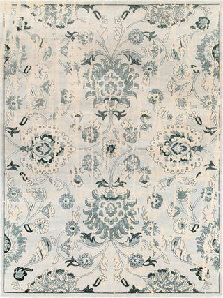 Surya Asia Minor ASM-2313 Area Rug Main Image 8 X 10