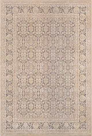 Surya Aesop ASP-2300 Light Gray Beige Medium Area Rug Mirror main image