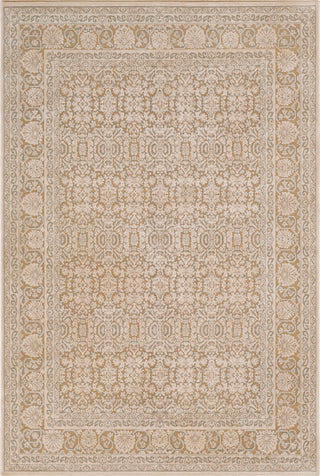 Surya Aesop ASP-2301 Denim Light Gray Beige Khaki Area Rug Mirror main image