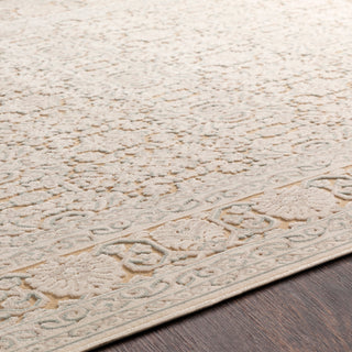 Surya Aesop ASP-2301 Area Rug Detail