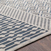 Surya Aesop ASP-2302 Area Rug Detail