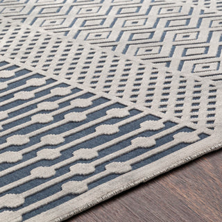 Surya Aesop ASP-2302 Area Rug Detail