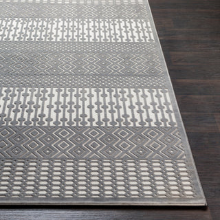 Surya Aesop ASP-2304 Area Rug 