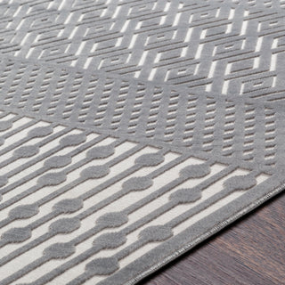 Surya Aesop ASP-2304 Area Rug Detail