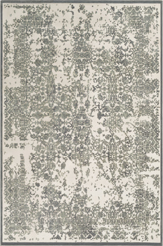 Surya Aesop ASP-2308 Sea Foam Medium Gray Beige Area Rug Mirror main image