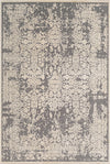 Surya Aesop ASP-2309 Medium Gray Beige Area Rug Mirror main image