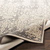 Surya Aesop ASP-2309 Area Rug 