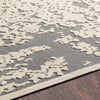 Surya Aesop ASP-2309 Area Rug Detail